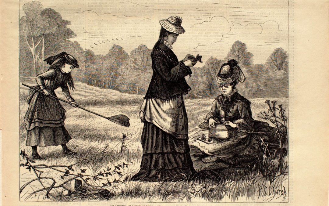 Amateur Naturalists