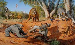 Australia’s Megafauna Controversy