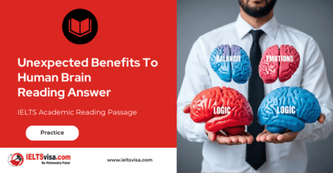 Unexpected Benefits To Human Brain Reading Answer - IELTSvisa: Free