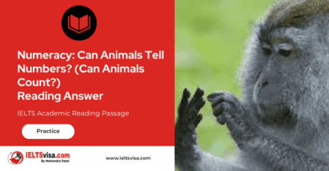 Can Animals Count? IELTS Reading Answers Explained