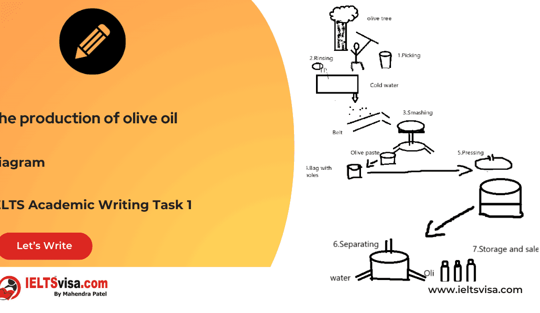 Task 1 – Diagram – The production of olive oil