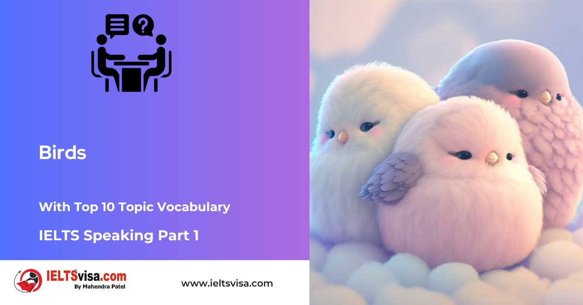 IELTS Speaking Part 1 – Birds