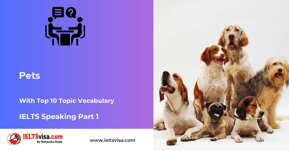 IELTS Speaking Part 1 – Pets