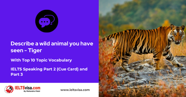 Describe a wild animal you have seen – Tiger.