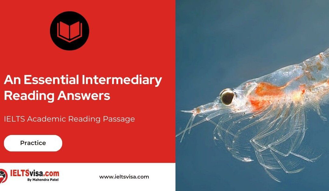 An Essential Intermediary