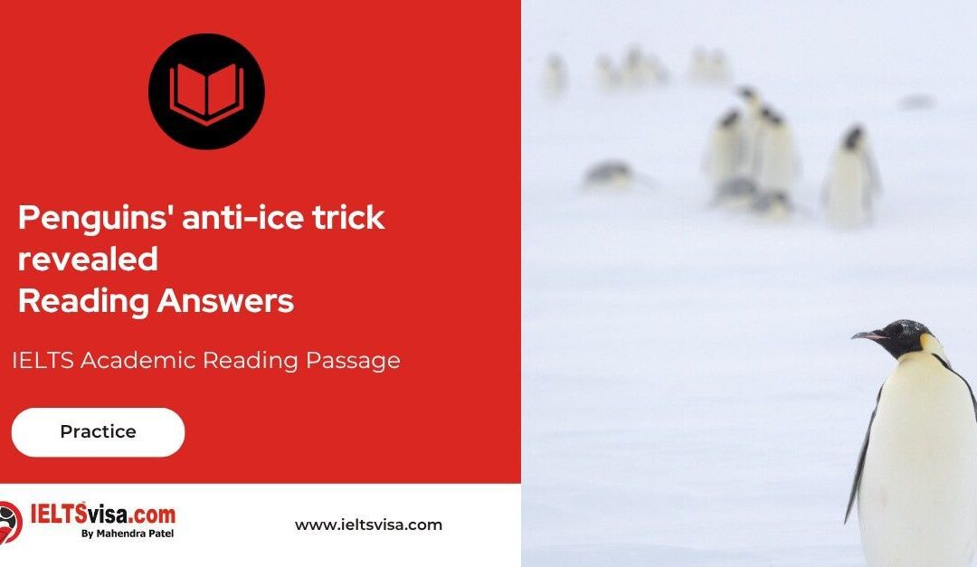 Penguins’ anti-ice trick revealed